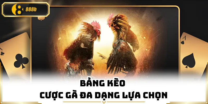 Bảng kèo cược gà đa dạng lựa chọn