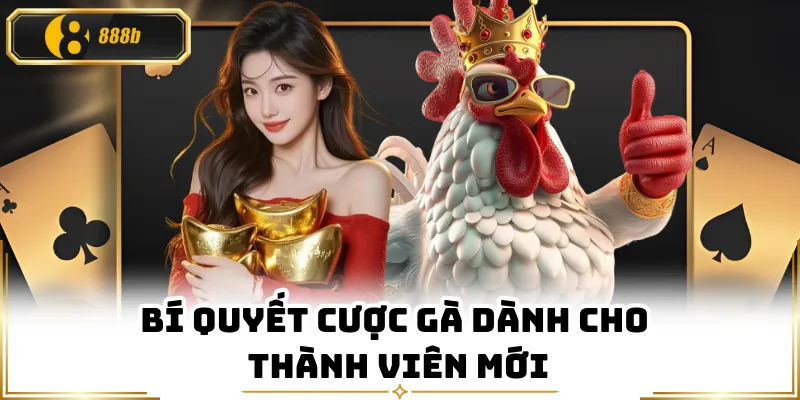 Bí quyết cược gà dành cho thành viên mới