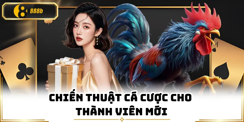 Chiến thuật cá cược cho thành viên mới