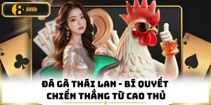 Đá Gà Thái Lan - Bí Quyết Chiến Thắng Từ Cao Thủ