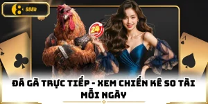 Đá Gà Trực Tiếp - Xem Chiến Kê So Tài Mỗi Ngày