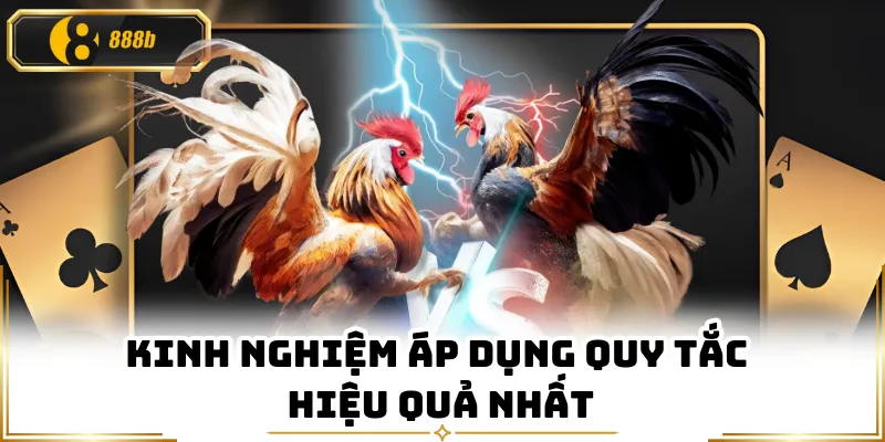 Kinh nghiệm áp dụng quy tắc hiệu quả nhất