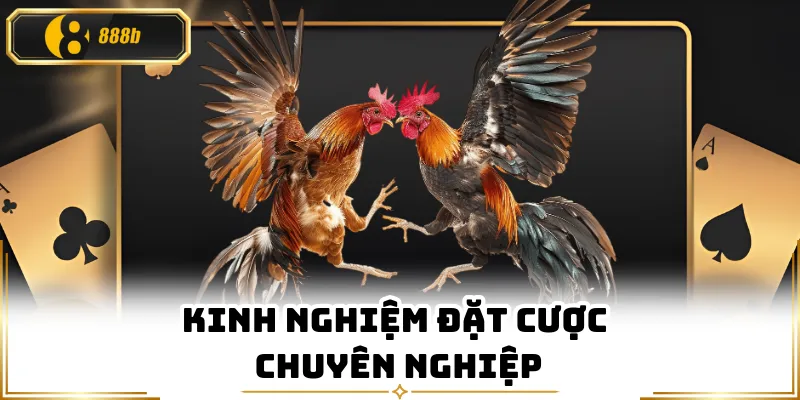 Kinh nghiệm đặt cược chuyên nghiệp