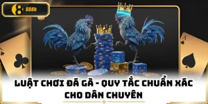 Luật Chơi Đá Gà - Quy Tắc Chuẩn Xác Cho Dân Chuyên