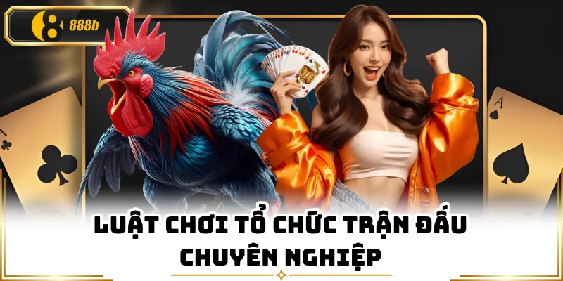 Luật chơi tổ chức trận đấu chuyên nghiệp