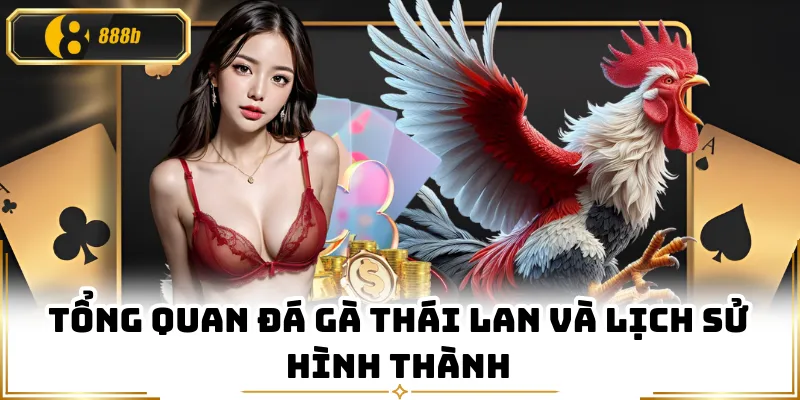 Tổng quan đá gà Thái Lan và lịch sử hình thành