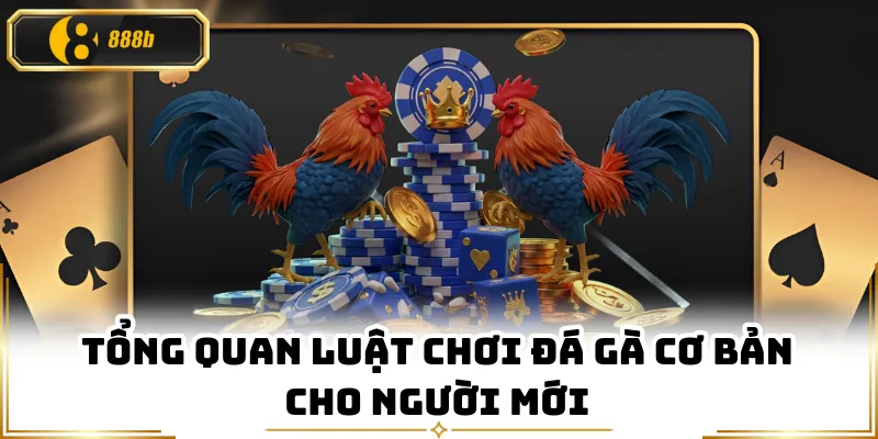 Tổng quan luật chơi đá gà cơ bản cho người mới