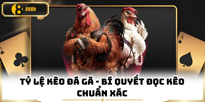 Tỷ Lệ Kèo Đá Gà - Bí Quyết Đọc Kèo Chuẩn Xác